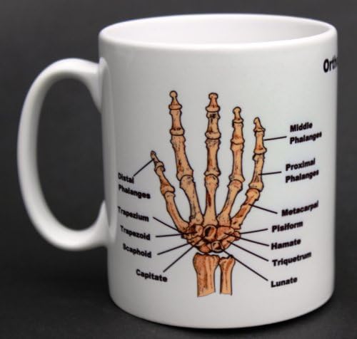 Medical Student Skeleton Orthopedics Mug