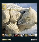 National Geographic Animal Love 2011 (Poster Cal) by 