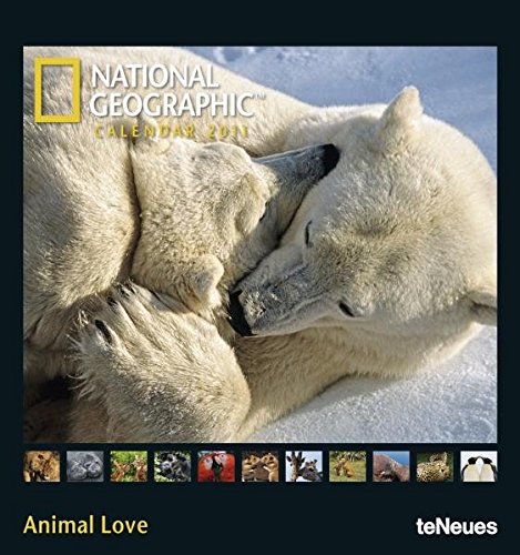National Geographic Animal Love 2011 (Poster Cal)