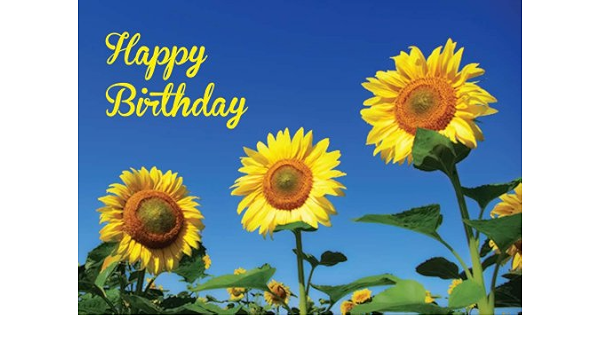 Sunflower Happy Birthday Quotes Sunflower Birthday. Geburtstagkarte. : Amazon.de: Bürobedarf & Schreibwaren