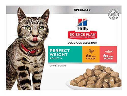 science plan perfect weight cat food