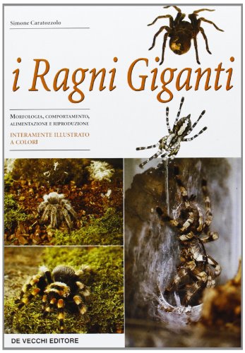 I ragni giganti