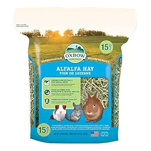 Oxbow Animal Health Alfalfa Hay for Pets, 15-Ounce