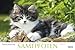 Samtpfoten 2015: PhotoArt Panorama Kalender by