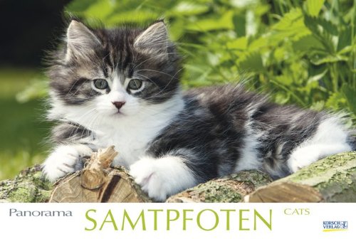 Samtpfoten 2015: PhotoArt Panorama Kalender