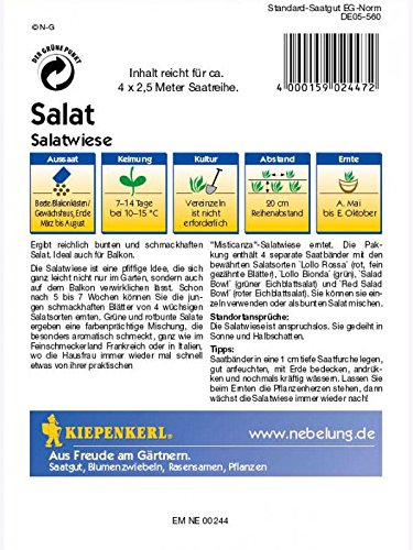 Salat Schnittsalat Babyleaf-Salatwiese Saatband 10mtr - 2
