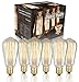 Produktbild EDISON Vintage Leuchtmittel – 6 Pack – 60 W Glühlampe – Glas klar – ST64 Glühlampe Eichhörnchen Käfig – dimmbar