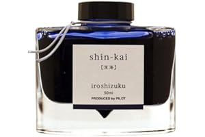 ‎PILOT Pilot Iroshizuku-Tinte talla única blau