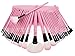 LyDia Professional 32pcs PINK Make Up Cosmetic Makeup Brushes Kit Set with Case