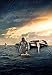 Produktbild Interstellar (24inch x 35inch / 60cm x 86cm) Silk Print Poster - Silk Printing - B19A2D