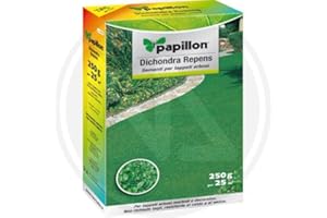 PROMOTION & BEYOND Repens PRATO Dichondra EN SEMI gr. 250