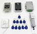 Imported 1000-user RFID Access Control System Kit w/ Electric Lock ID Keyfob Doorbell RS.4290.00
