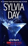 Cover zum Buch Afterburn