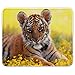 Produktbild Wilde Tiere 10016, Baby Tiger, Designer Leder Mousepad Unterlage Mauspad Maus-Pad Stark Anti Rutsch Unterseite für Optimalen Halt mit Lebhaftes Motiv Kompatibel mit allen Maustypen (Kugel, Optisch, Laser)Ideal für Gamer und für Grafikdesigner.