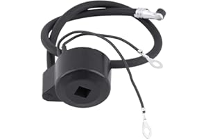 Qiilu Module de bobine d'allumage de moteur, Module de bobine d'allumage de petit moteur en plastique pour moteur 30560A 29632 30546 610768 611038