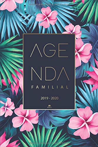 Télécharger Agenda Familial 2019 2020: Calendrier familial de Août 2019 à Décembre 2020 - Agenda Semainier, A Livre PDF Gratuit