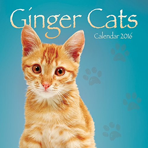 Download GINGER CATS 2016 UK SQUARE WALL CALENDAR BRAND NEW AND FACTORY SEALED