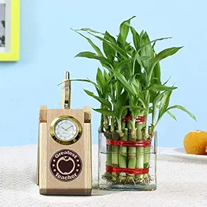 TIED RIBBONS Gift for Teachers Day Best for Class Teacher Mam Sir (Two Layer Bamboo Plant with Square Glass Pot and Penstand)