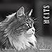 Cats 2018 - Katzen - Broschürenkalender (30 x 60 geöffnet) - schwarz/weiß - Tierkalender - Wandplaner: by Sabine Rath by 