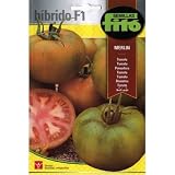 Variedad tipo pintón grueso Semillas Fitó Híbridos 3116 - Tomate Merlín