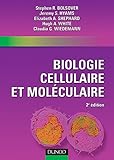 Image de Biologie cellulaire et moléculaire