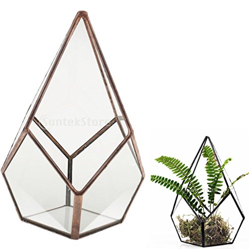 Luft Pflanzer Mini Glasterrarium Geometrisches Glas Sukkulente Pflanzgefäß Haus Dekoration 16x16x25cm – Kupfer - 9