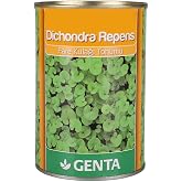 Genta Dichondra Repens &Ccedil;im Tohumu 250 Gr