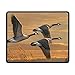 Produktbild Canada Geese Painting Office Office and Gaming Mouse Pad Premium Waterproof Mouse Mat 22 * 18CM(8.7 * 7.1 Inch)