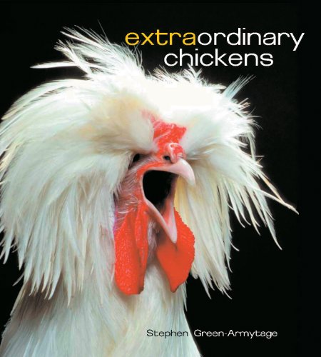 Download Extraordinary Chickens Download Extraordinary Chickens