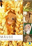 Zauberhafte Mäuse: Von wegen nur Grau (Wandkalender 2019 DIN A4 hoch): Die Maus: Possierlicher Plagegeist (Monatskalender, 14 Seiten ) (CALVENDO Tiere) by