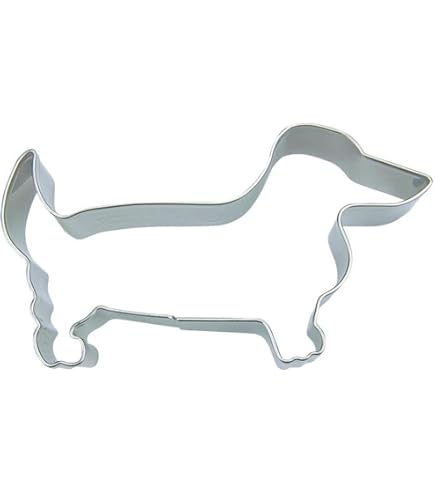 Wire-haired Bassotto, Filo-dai Capelli Del Cane Di Salsiccia, Cane - Foto 12