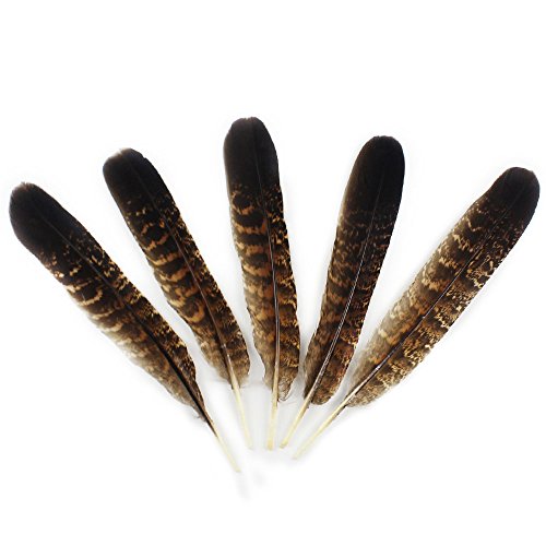 JPSOR 12 Stück Natürliche naturfarben Adler Feder, 6-8 Inch, für Kunstwerk Dekoration - 3
