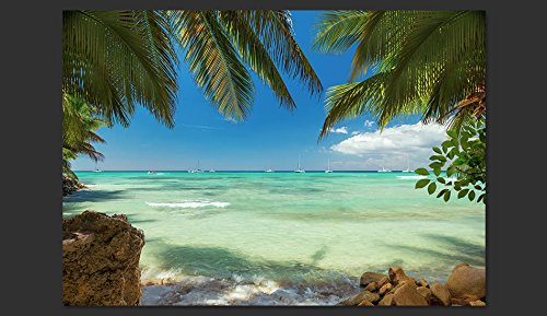 FOTOTAPETE 300×210 cm – VLIES TAPETE PREMIUM – PROFI QUALITÄT – Top moderne Wanddeko – Riesen Wandbild – Top Design Tapete – Neue exklusive Edition mit noch besser Druckauflösung – Deutsches Premium Vlies – Natur Meer Palmen c-A-0055-a-a - 2