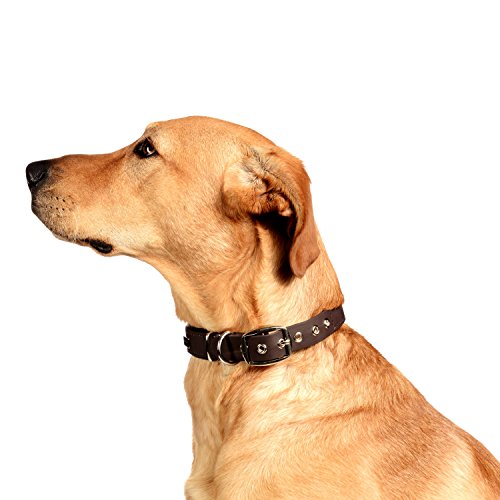 PetTec Comfortable Dog Collar, Permanent & Robust; Made with Strong, Tear Resistant Trioflex, Perfect Size for Big or Small Dogs, Great Fit with Padding Weatherproof and Waterproof (Brown)