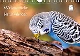 Wellensittiche - Naturkalender (Wandkalender 2014 DIN A4 quer): Naturfotografien von Björn Bergmann (Monatskalender, 14 Seiten) by 