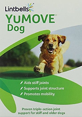 Lintbells YuMOVE Dog Joint Supplement for Stiff and Older Dogs (300 Tablets)