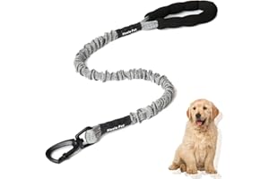 WHCCTL WDDT Laisse Chien Élastique, en Nylon, Corde Solide Anti Traction ​Grande Taille, Élastique pour Animaux Compagnie, avec Poignée Rembourrée, Chiens Grands et Petits