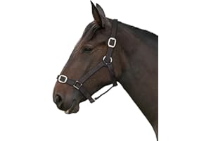 Gallop Basic Nylon Headcollar and Lead Rope Set, Shetland Size, Black