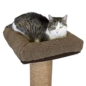 Kitty City Perch Cushion Platform, Brown