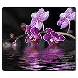 ANWENDUNG: Die Multifunktionsplatten aus Glas sind universal und dienen nicht nur als Schutz für Ihr Herd oder zusätzliche Arbeitsfläche, sondern auch als Spritzschutz, Schneidebrett, Servierplatte oder Topfuntersetzer, da das Glas von oben hitzebeständig ist. Die Platte ist außerdem ein einzigartiges Geburtstags- oder Weihnachtsgeschenk, der nicht nur eine Deko ist, sondern das wichtigste - ein Küchenhelfer für alle