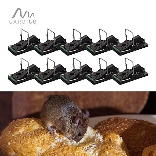 Preisvergleich Produktbild Gardigo Mausefalle 10er Set, Schlagmausefalle, Schlagfalle, Mäuse Falle (10 Stück) / Deutscher Hersteller