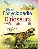 First Encyclopedia of Dinosaurs and Prehistoric Life (Usborne First Encyclopedia) by Sam Taplin