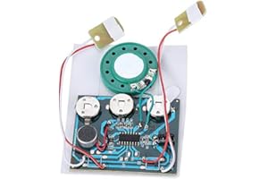 ZERONE 30S USB Re-recordable Music Sound Voice Recording Module Device 0.5W with Button Cells for DIY Toys Audio Gifts