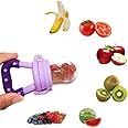 BKDT Marketing Silicone Food/Fruit Nibbler With Extra Mesh, Soft Pacifier/Baby Fruit Feeder, Baby Teether, Infant, Multicolor