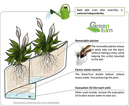 Modul’Green – Designer blumentopf für Wände – drinnen & draußen – schwarz - 8