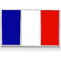 Pins Bleuet Broche Fleur – Pin's Costume Homme Étoile Miss France, Drapeau Français Tricolore Argenté Bleu Blanc Rouge