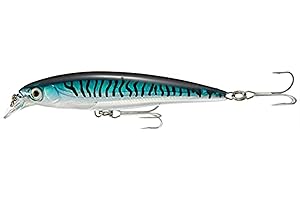 KROKODIL Rapala X-Rap Saltwater 12 Leurre (Silver Blue maquereau, 4,75 Pouces)