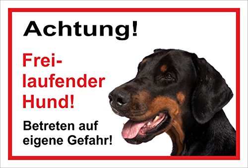 Schild Warnschild Achtung freilaufender Hund Betreten auf