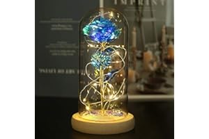 NAWEIDA Beauty and the Beast Rose In Glass Dome with LED Fairy Lights Colorful Galaxy Rose