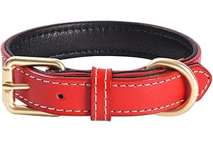QWBWAN Genuine Leather Padded Dog Collar Comfortable Strong Soft Collars Best for Small Medium and Large Breed Dogs （Red）(L)